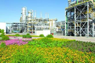 廠區(qū)綠化養(yǎng)護(hù).jpg 廠區(qū)綠化養(yǎng)護(hù).jpg