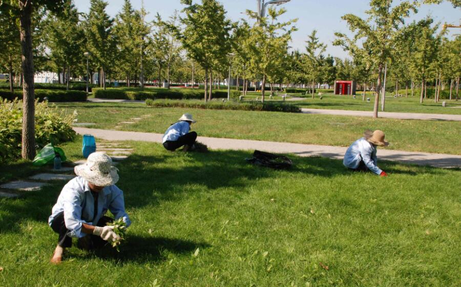 QQ截圖20180612060743.jpg QQ截圖20180612060743.jpg