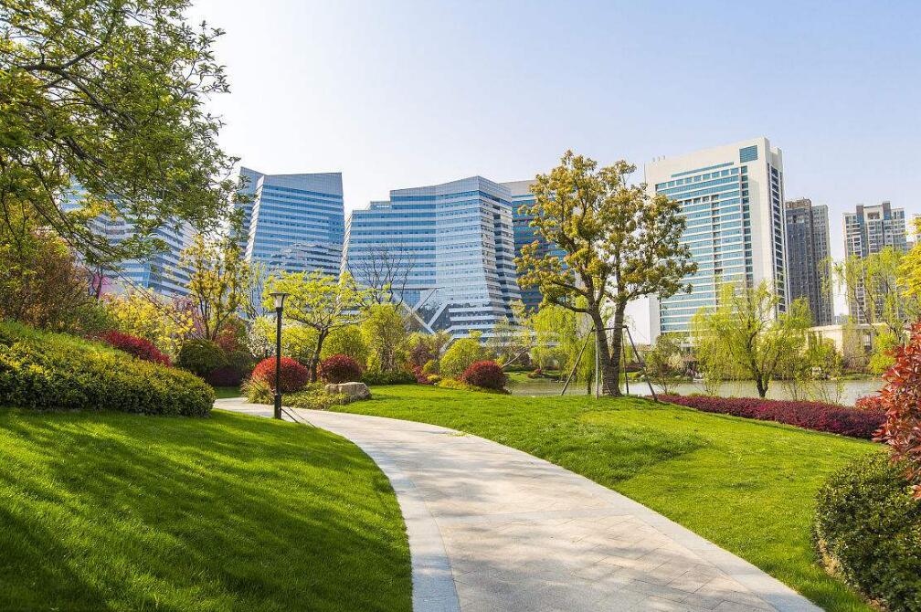 常州綠化養(yǎng)護(hù)